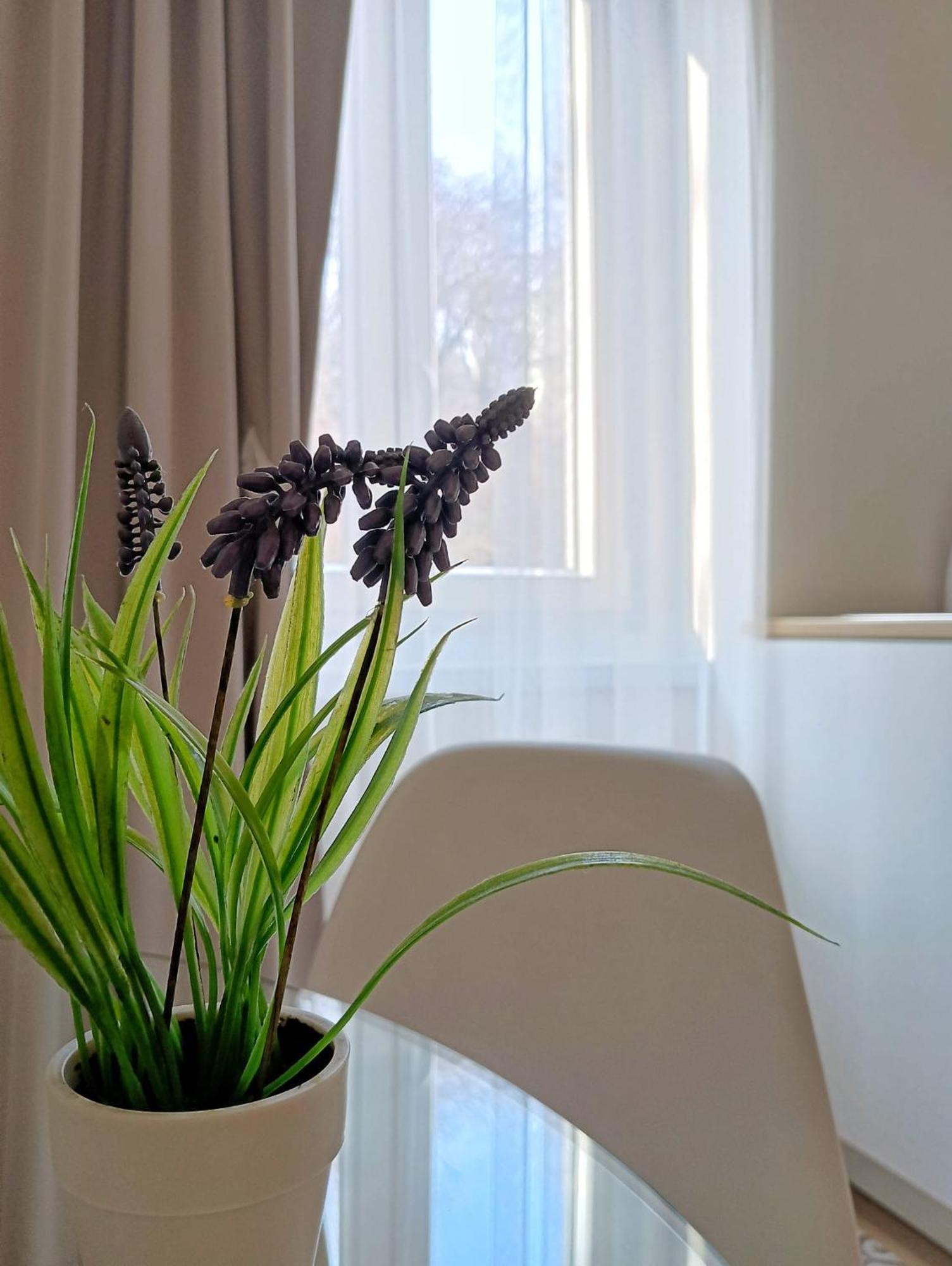 Tesa2 Casa Vacanze トリエステ エクステリア 写真